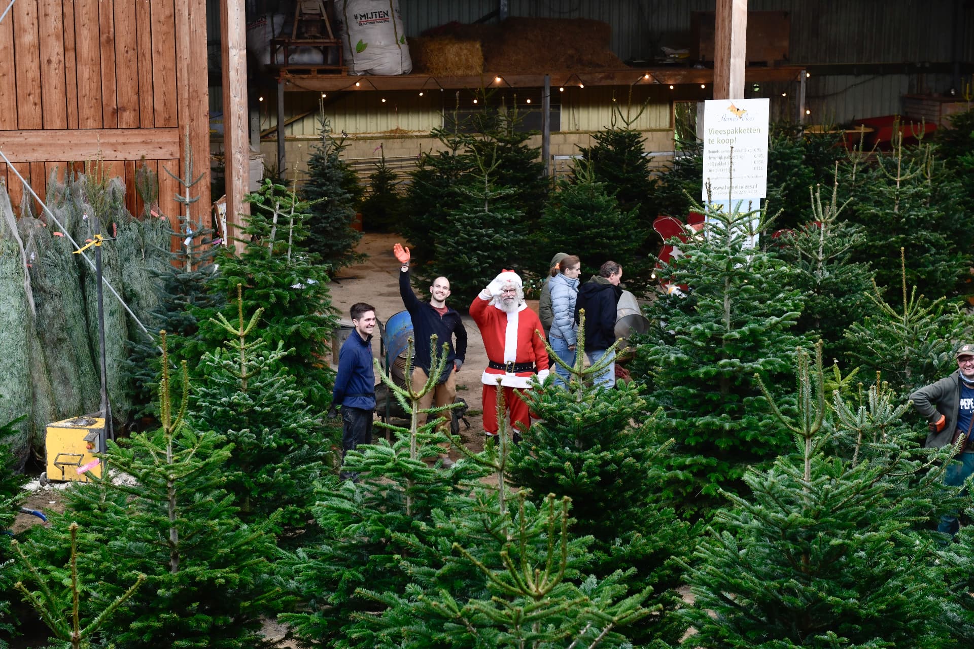De kerstman zwaait tussen de kerstbomen in de schuur, met het team en bezoekers erbij