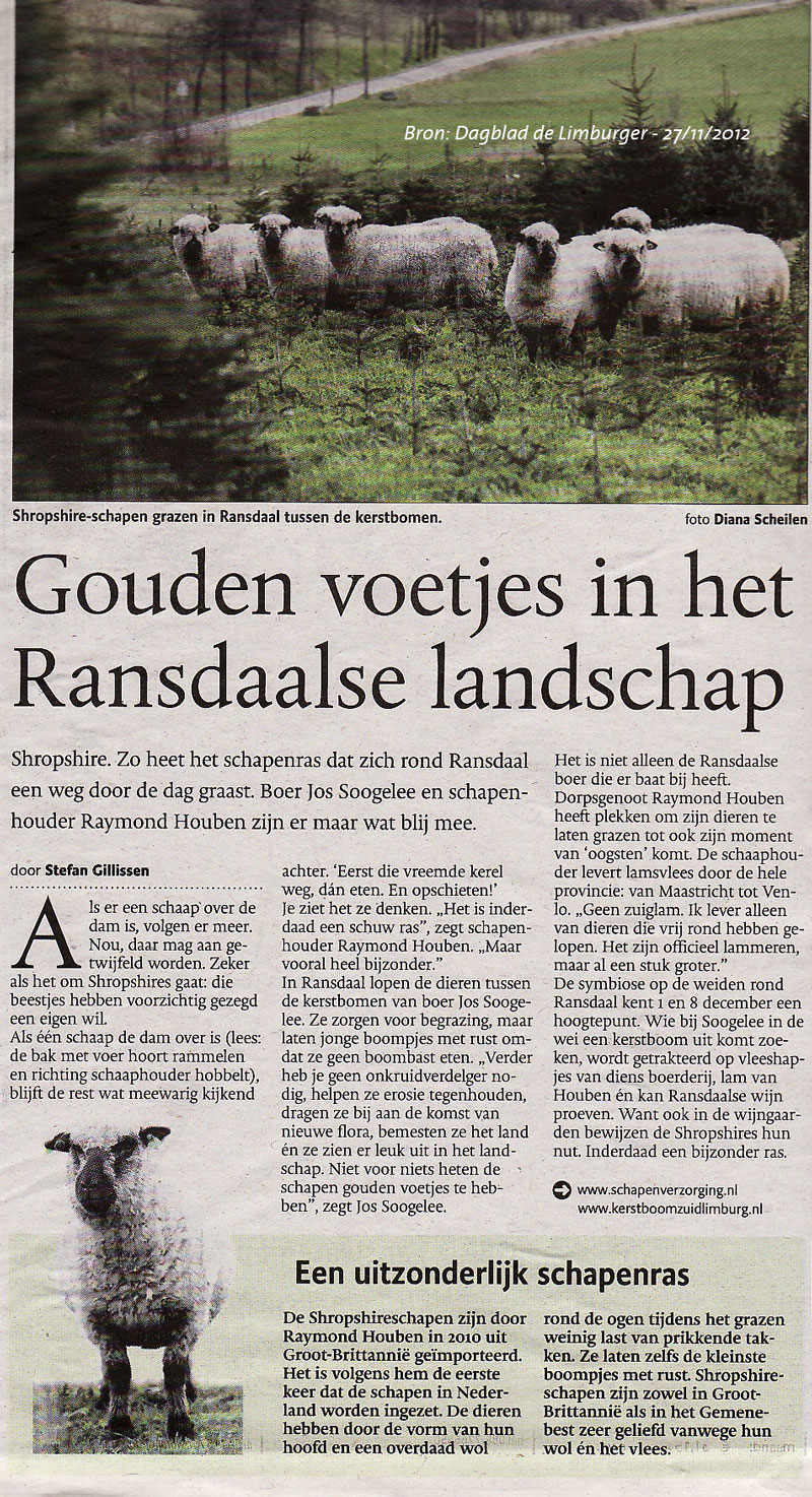 Krantenartikel De Limburger: Gouden voetjes
